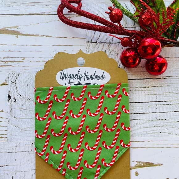 Dog Bandana, Bow ,Christmas Picture ,Matching Set, Photoshoot, Picture Perfect , - Picture 3 of 3